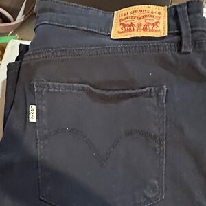 Levi's Dark Blue Pants
